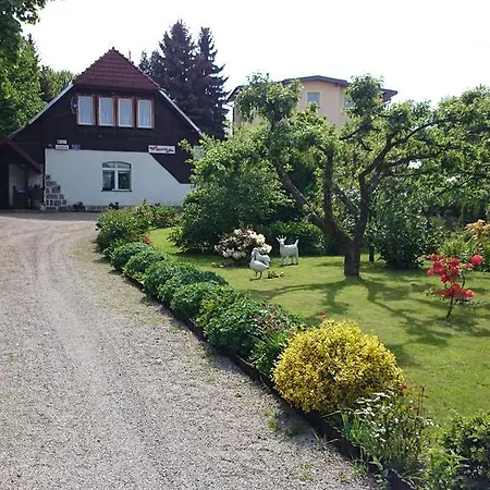 Homestay Goscinne Mirena